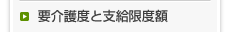 要介護度と支給限度額